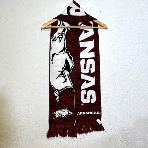 FOCO Arkansas Razorbacks NCAA Wordmark Big Logo Colorblend Scarf OS - Picture 4 of 8